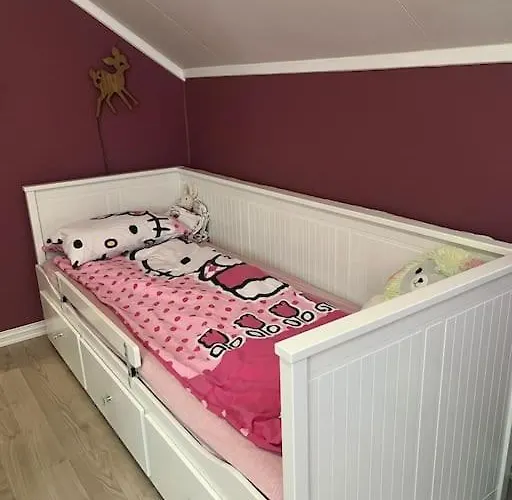 Trivelig Familievennlig Hus Med Inngjerdet Hage Oslo